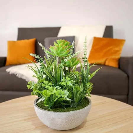 Moradia Marques * 纳扎雷